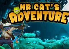 Mr Cat’s Adventure