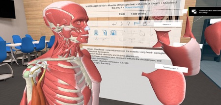 3D Organon VR Anatom (Steam VR)