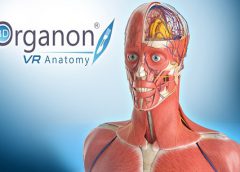 3D Organon VR Anatomy