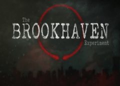 The Brookhaven Experiment (PSVR)
