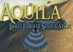 Aquila Bird Flight Simulator (Oculus Rift)