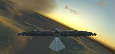 Aquila Bird Flight Simulator (Steam VR)