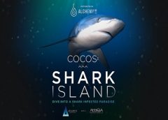 Cocos Shark Island (PSVR)