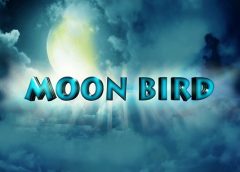 Moon Bird (Oculus Go & Gear VR)