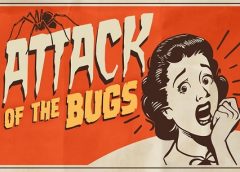 Attack of the Bugs (Gear VR)