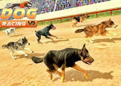 Dog Racing 3D (Oculus Go & Gear VR)