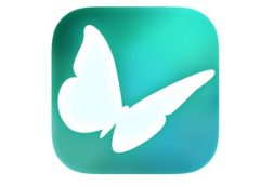 Flutter VR (Daydream VR)
