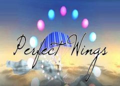 Perfect Wings (Gear VR)