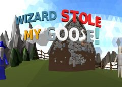Wizard Stole My Goose (Google Daydream)
