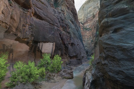 The Zion Narrows Experience (Gear VR)