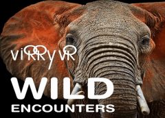 Virry VR: Wild Encounters (PSVR)