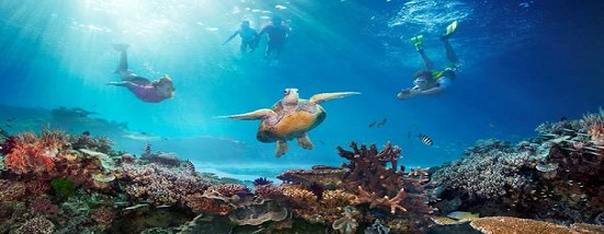 David Attenborough's Great Barrier Reef Dive (PSVR)