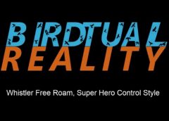 Birdtual Reality (Steam VR)