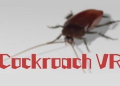 Cockroach VR (Steam VR)