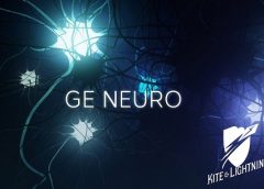 GE Neuro (Steam VR)