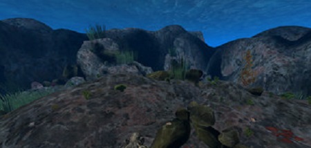 The Stanford Ocean Acidification Experience (Steam VR)