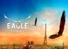 Eagle Flight (Steam VR)