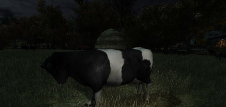 The Cows Are Watching (Steam VR)