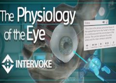 The Physiology of the Eye (Steam VR)