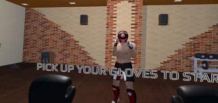 Fight Sparring VR (Steam VR)