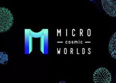 Micro Cosmic Worlds (Steam VR)