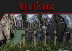 Ninja in Training (Steam VR)