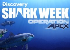 Shark Week: Operation Apex (Steam VR)