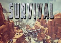 Survival (Steam VR)