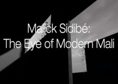 The Eye Of Modern Mali (Steam VR)
