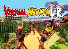 Virtual Ninja VR (Steam VR)