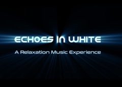 Echoes in White (Steam VR)
