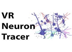 Virtual Reality Neuron Tracer (Steam VR)