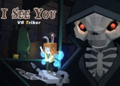 I See You (Steam VR)