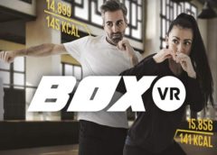 BOXVR (Steam VR)
