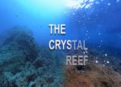 The Crystal Reef (Steam VR)
