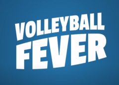 Volleyball Fever (Steam VR)