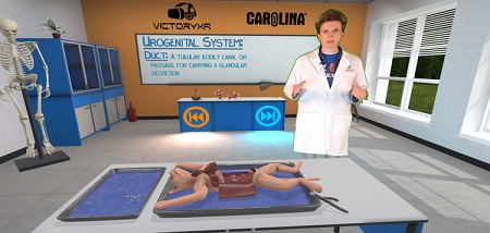 Dissection Simulator: Feline Edition (Steam VR)