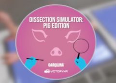 Dissection Simulator: Pig Edition (Steam VR)