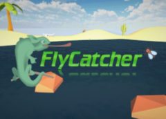 FlyCatcher (Steam VR)