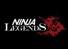 Ninja Legends (Steam VR)