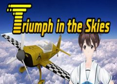 Triumph in the Skies (Steam VR)