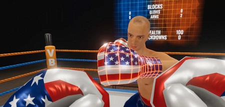 Virtual Boxing League (Steam VR)