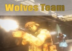 Wolves Team (Steam VR)