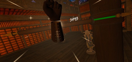 Crazy Kung Fu (Steam VR)