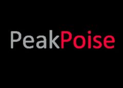 PeakPoise (Steam VR)