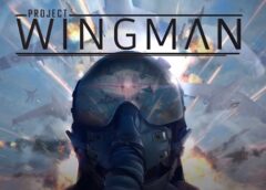 Project Wingman (Steam VR)