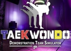 Taekwondo Demonstration Team Simulator (Steam VR)