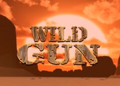 Wild Gun (Steam VR)