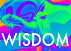 Wisdom (Steam VR)