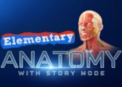 Elementary Anatomy: With Story Mode (Steam VR)